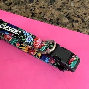 ❣️ Sunny Loyal Pet dog collar-like knew.